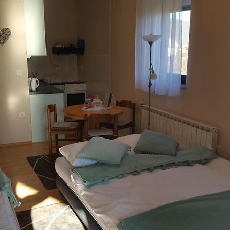 Studio Apartman Salopek オグリン エクステリア 写真